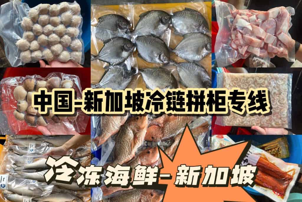 中国-新加坡冷冻柜拼箱：鱼肉,鱼丸,三文鱼,甜虾海运冷链专线