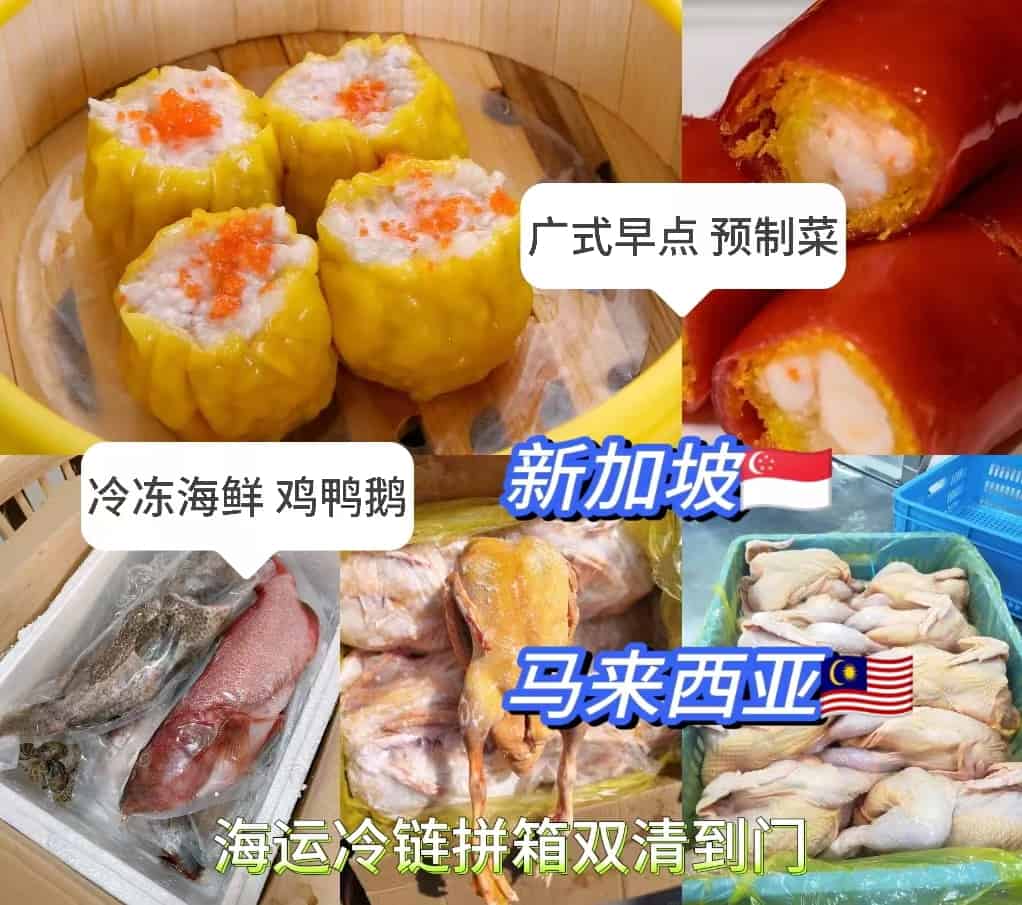 【新加坡马来西亚】海运冷链运输，国内预制菜生鲜肉送货到门