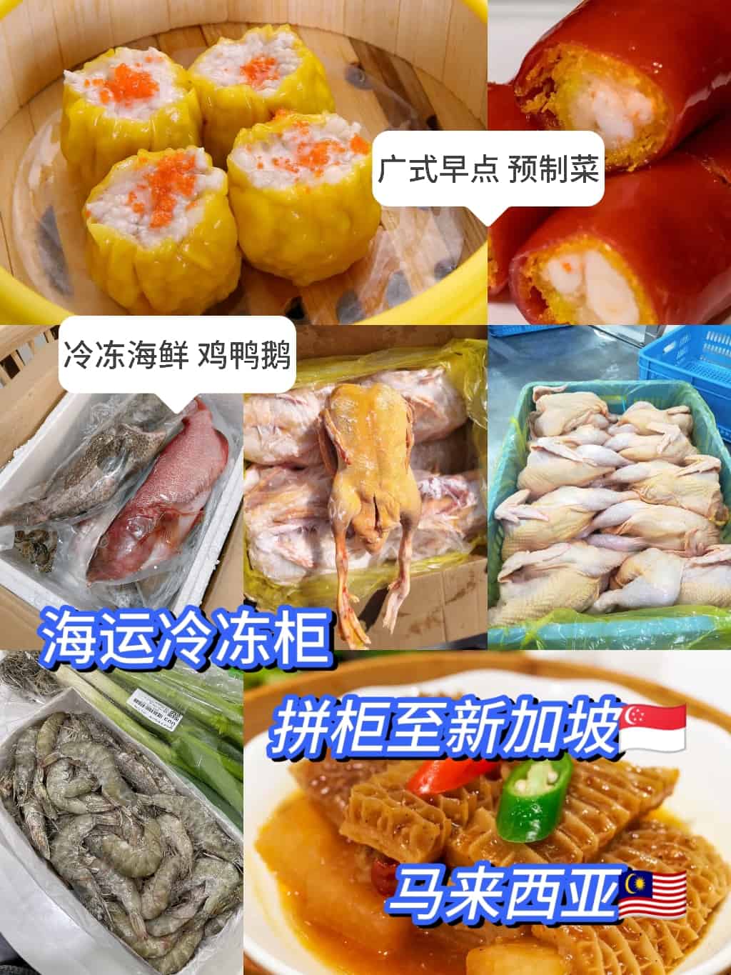 【新加坡马来西亚】海运冷链运输，国内预制菜生鲜肉送货到门