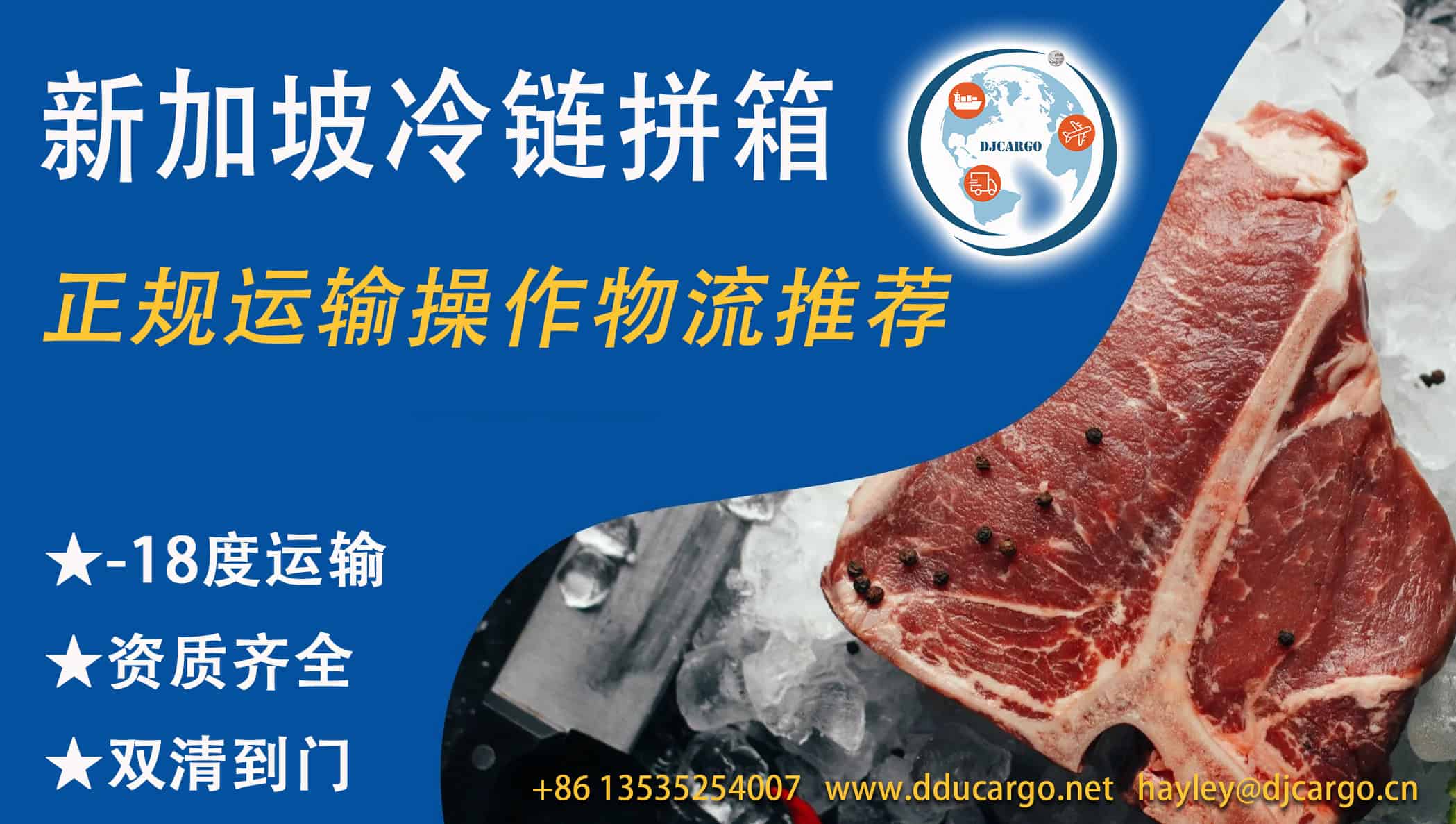 鸡肉/鸭肉/鹅肉/鱼肉/牛肉新鲜带回家--新加坡海运冷链拼箱双清