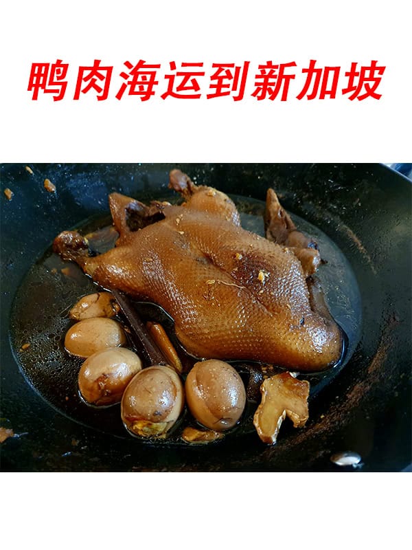 鸭肉海运到新加坡